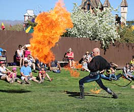 Professional Whip Cracker at the Renaissance Fair