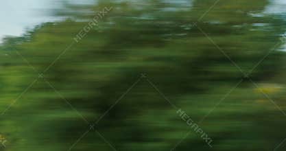View from high-speed train