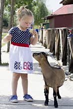 Little girl and billy goat