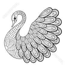 Hand drawing artistic Swan for adult coloring pages in doodle