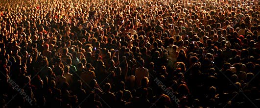 Concert crowd