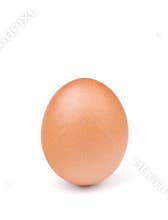 Brown egg isolated on white