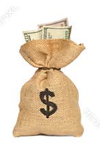 Money Bag