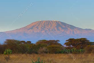 Top of kilimanjaro mountain in the sunrise