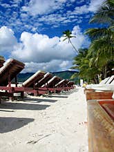 Beautiful day in a tropical resort