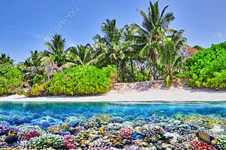 Tropical island and the underwater world in the Maldives.