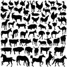 Farm animal set