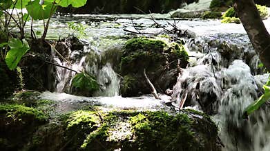 small waterfall in the woods