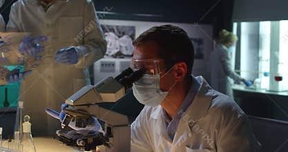 Group of scientists work in microbiology laboratory