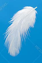 Feather