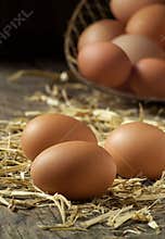 Organic farm fresh eggs