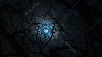 Moon and clouds at night