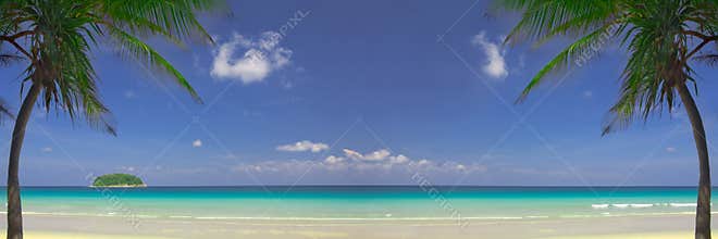 Tropic banner