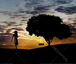 Swing in tree