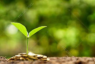 Business with csr practice