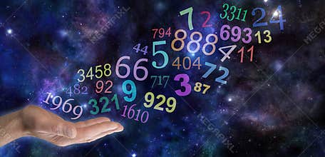 What do your Numbers mean