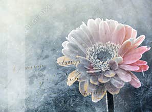Abstract winter flower digital painting
