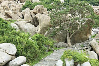 Landscape steps leading up a hill