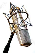 Boom Microphone