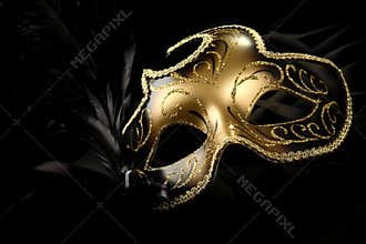 Ornate carnival mask
