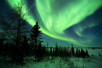 Aurora Borealis above Tundra