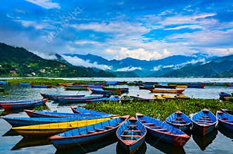Bright Row Boats - Lake Phewa, Pokhara, Nepal.