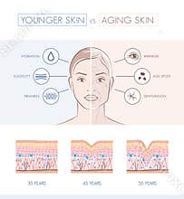 Younger and older skin comparison