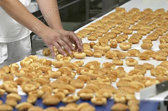 Candies industry 10