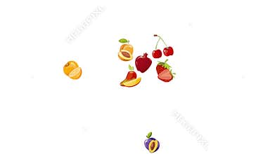 Fresh fruits circle moving animation
