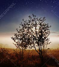 Star sky over countryside