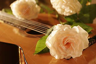 Rose guitar