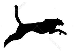 Big black cat