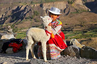 Local girl with baby llama sitting at Colca Canyon in Peru