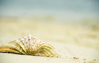 Abstract background blurs concept dreaming of tropical island holiday