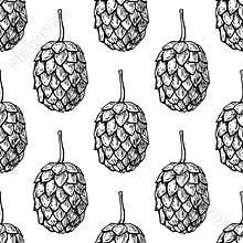 Hop seamless pattern.Black hand drawn artistic beer hope