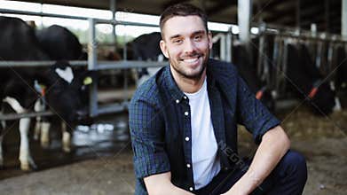 Man or farmer with cows in cowshed on dairy farm