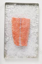 Fresh Salmon