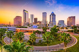 Tampa Florida Skyline