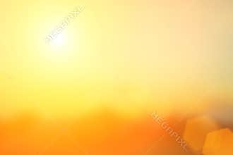 Natural background blurring.warm colors and bright sun light. bo