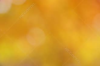 Autumn / Fall Background - Abstract Gold Blur