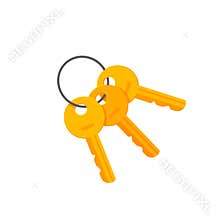 Door or padlock keys on key ring vector illustration
