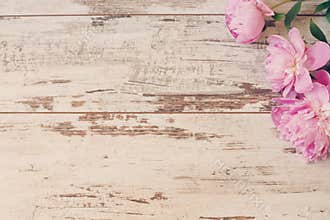 Stunning pink peonies on white light rustic wooden background. Copy space, floral frame. Vintage, haze looking. Wedding car