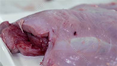 Man preparing turkey meat for picnic