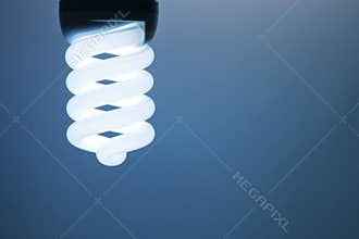 Compact Fluorescent Light Bulb.
