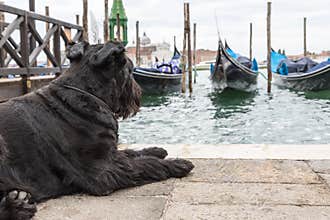 So those are the gondolas?