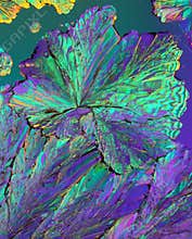 Colorful citric acid crystals