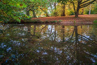 A lake in Virginia Water in Surrey, UK