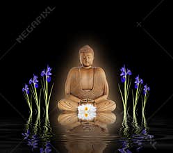 Buddha in Zen Garden
