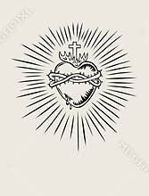 Sacred Heart of Jesus