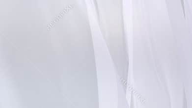 Sheer white curtains blowing in the wind